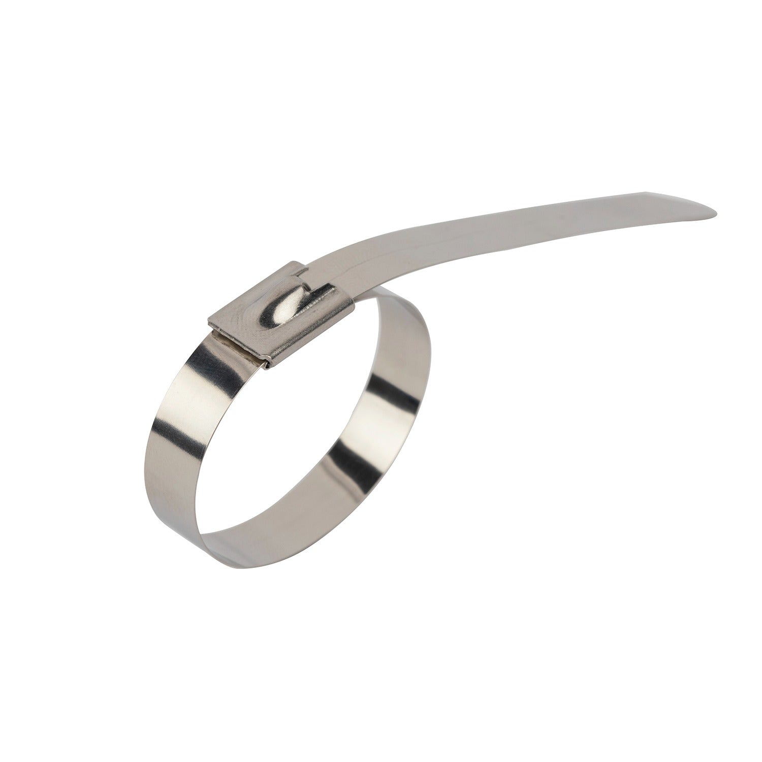 Stainless Steel Tie Wraps